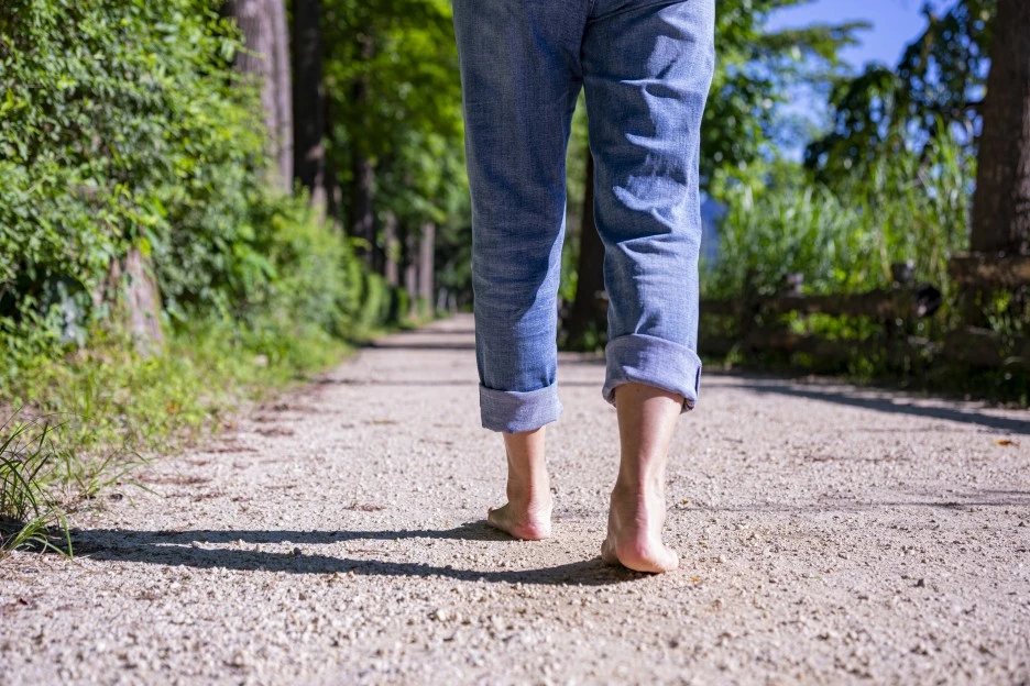 CK_cm270031405.jpg?type=w1