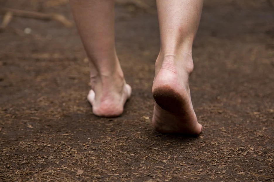 CK_cm260025028.jpg?type=w1