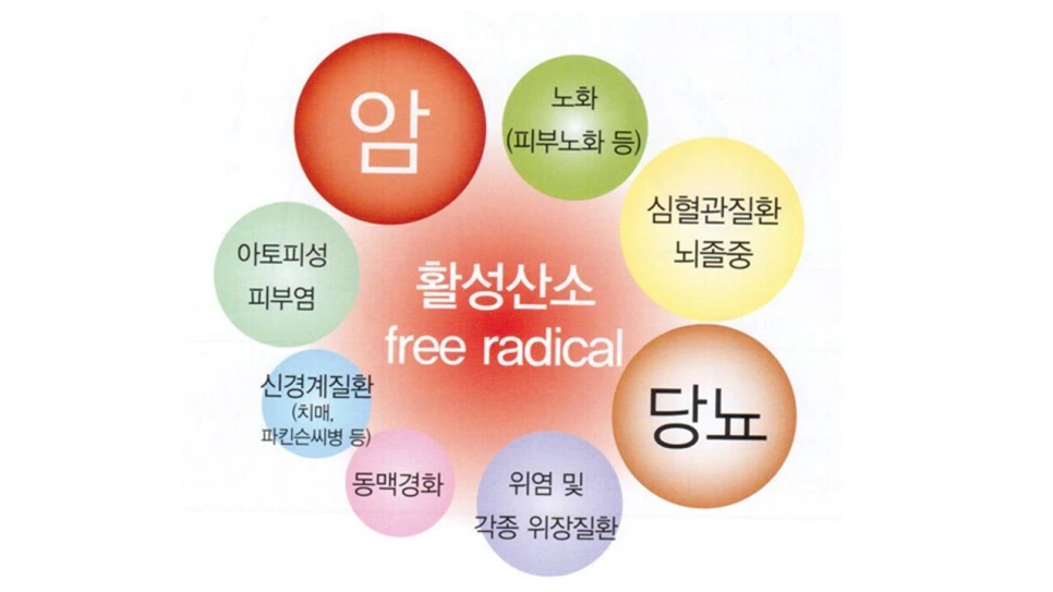 %EC%8A%AC%EB%9D%BC%EC%9D%B4%EB%93%9C12.PNG?type=w966