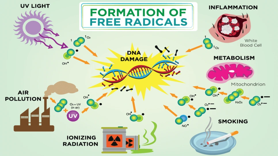 %EC%8A%AC%EB%9D%BC%EC%9D%B4%EB%93%9C24.PNG?type=w966