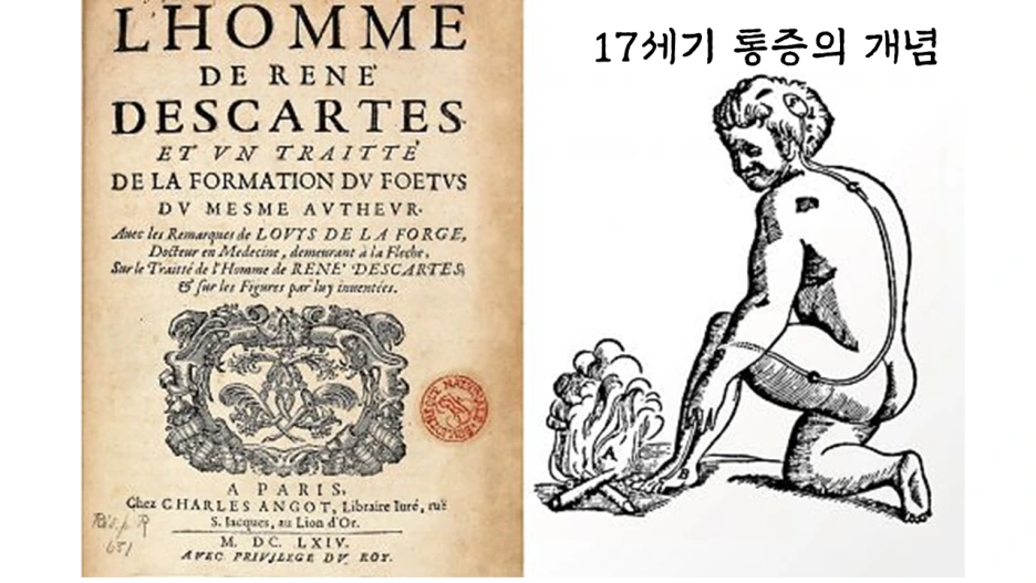 %EC%8A%AC%EB%9D%BC%EC%9D%B4%EB%93%9C17.PNG?type=w1