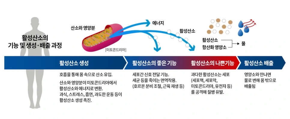 SE-d1ec598e-667a-4431-8e04-5359893c3b00.png?type=w966