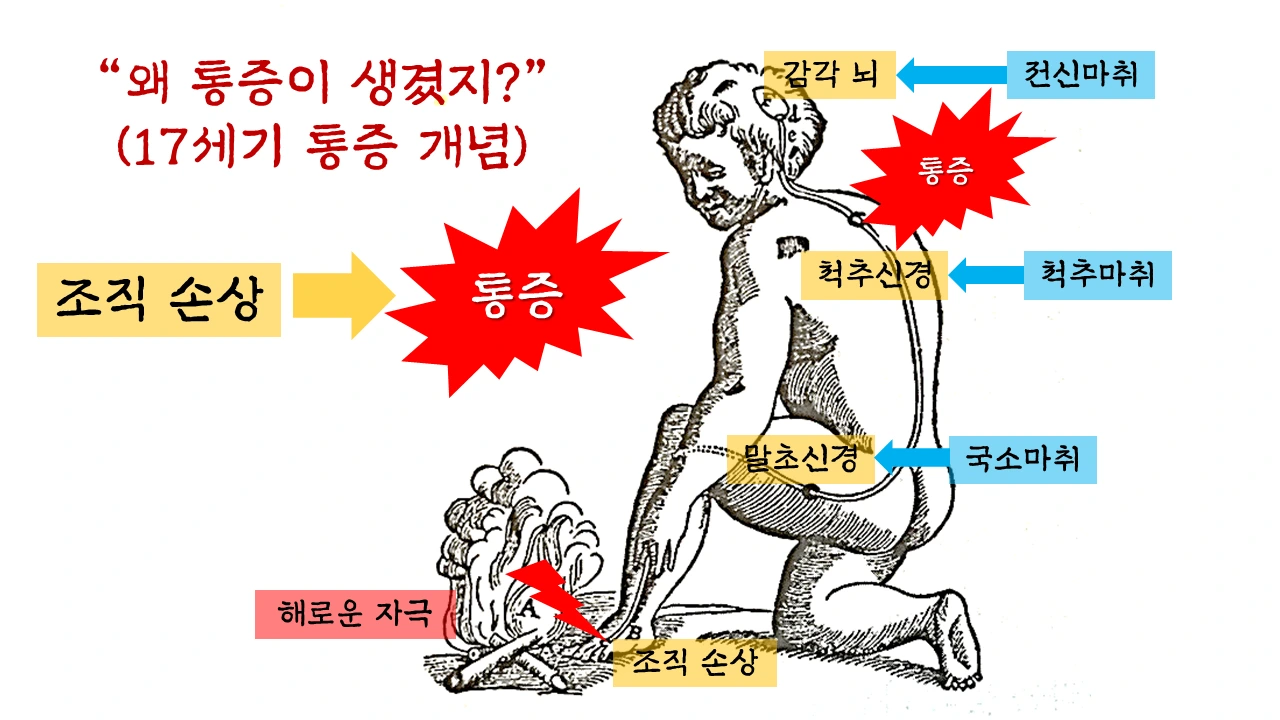 슬라이드9.PNG