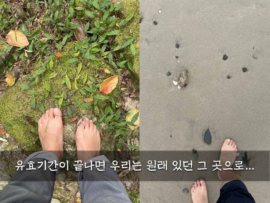 %EC%8A%AC%EB%9D%BC%EC%9D%B4%EB%93%9C3.PNG?type=w1