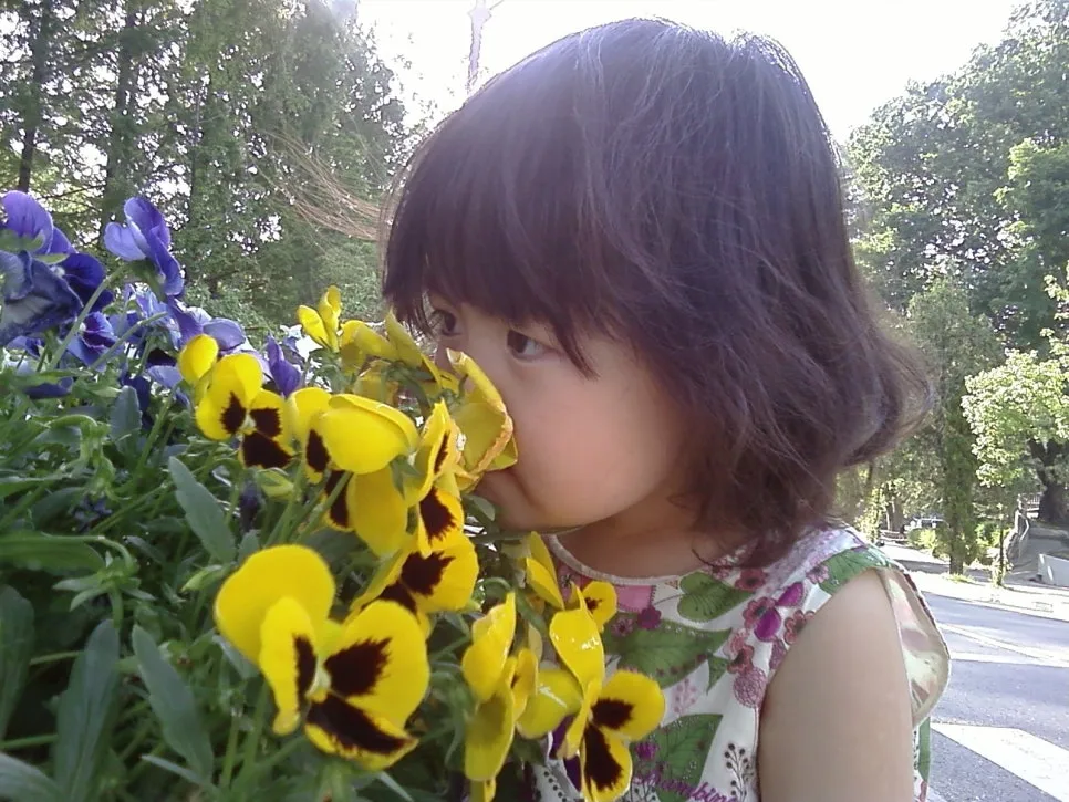 photo0034.jpg?type=w966