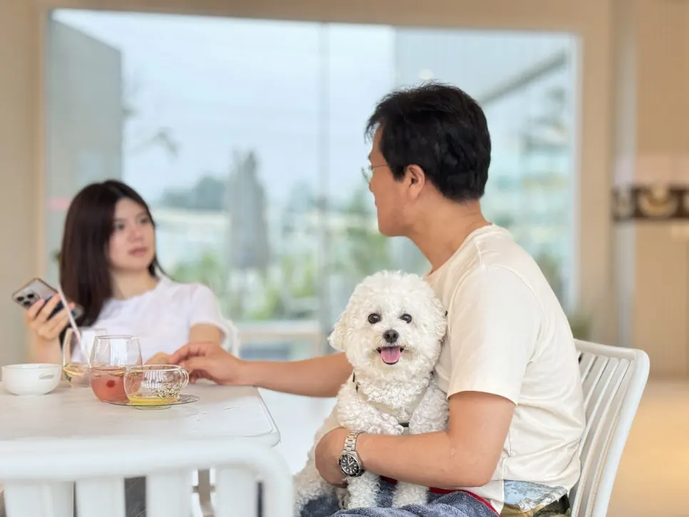 IMG_6131.jpeg?type=w966