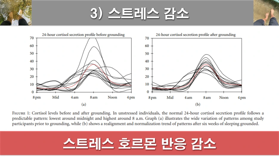 %EC%8A%AC%EB%9D%BC%EC%9D%B4%EB%93%9C4.PNG?type=w1