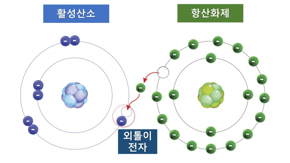 %EC%8A%AC%EB%9D%BC%EC%9D%B4%EB%93%9C14.PNG?type=w966