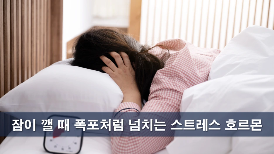 %EC%8A%AC%EB%9D%BC%EC%9D%B4%EB%93%9C5.PNG?type=w1