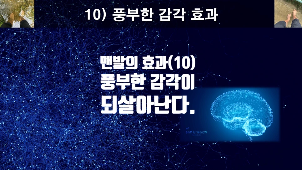 SE-2404f4b9-3a41-4c93-b8cb-5e0766340a38.png?type=w966