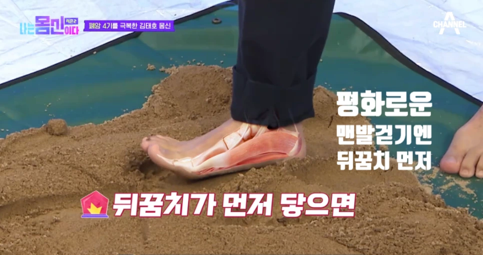 SE-7a5fa72b-4ad7-456f-92e0-d48ce59f48b5.png?type=w966