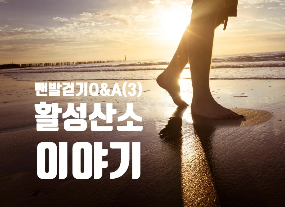 SE-4a83aab1-80e9-4f01-959c-25d2fc25dfa3.jpg?type=w966