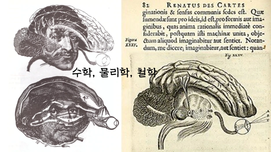 %EC%8A%AC%EB%9D%BC%EC%9D%B4%EB%93%9C19.PNG?type=w1