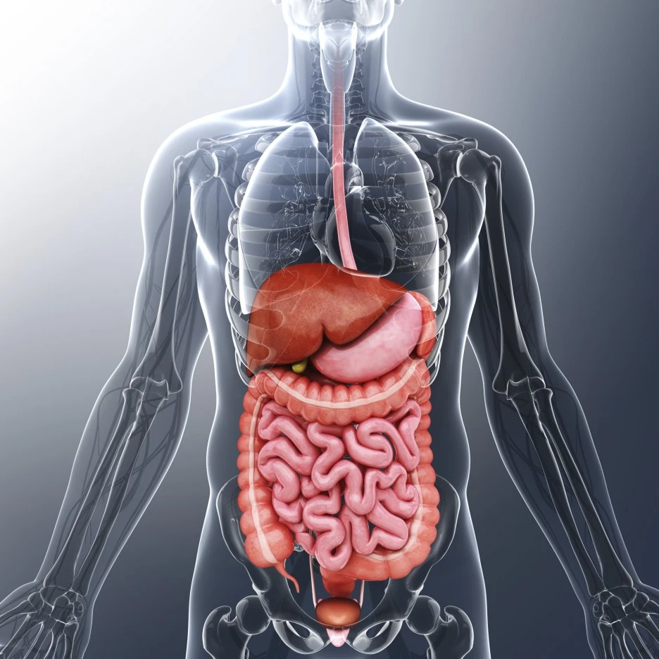 CK_pc004042392.jpg?type=w1