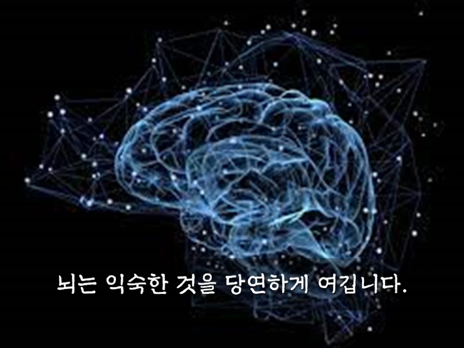 %EC%8A%AC%EB%9D%BC%EC%9D%B4%EB%93%9C9.PNG?type=w1