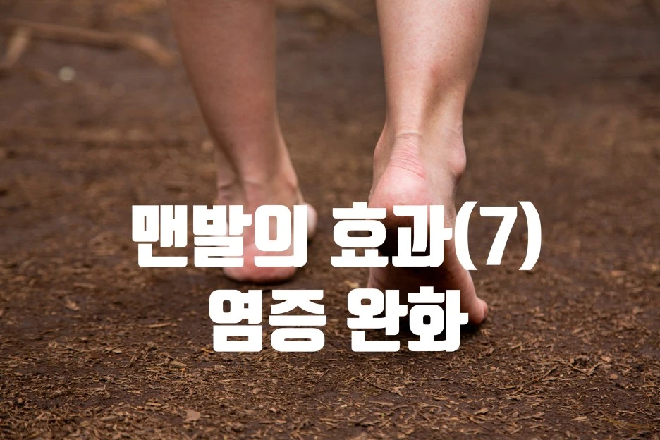 SE-6eb9c4d2-e8b1-4d16-b694-7a96945ab87a.jpg?type=w1