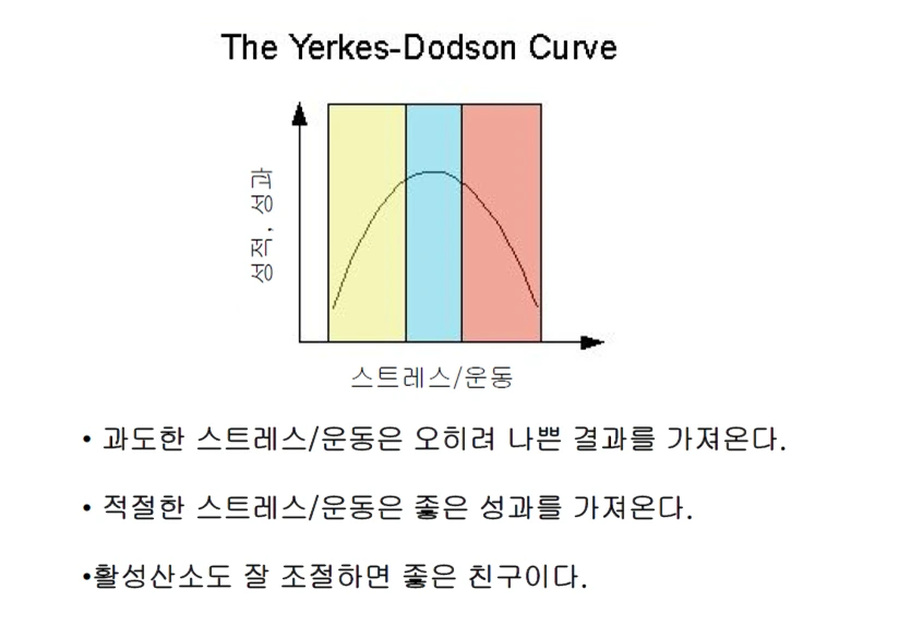 SE-d182541f-a9c5-4031-a905-93f2cce9d26a.png?type=w966