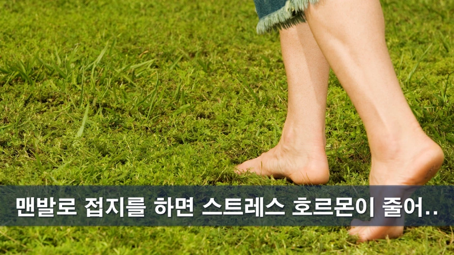 %EC%8A%AC%EB%9D%BC%EC%9D%B4%EB%93%9C8.PNG?type=w1