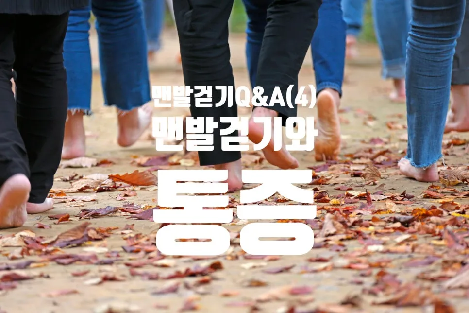 SE-95a47a36-3934-4c27-8664-8c4f26e7ef2e.jpg?type=w966