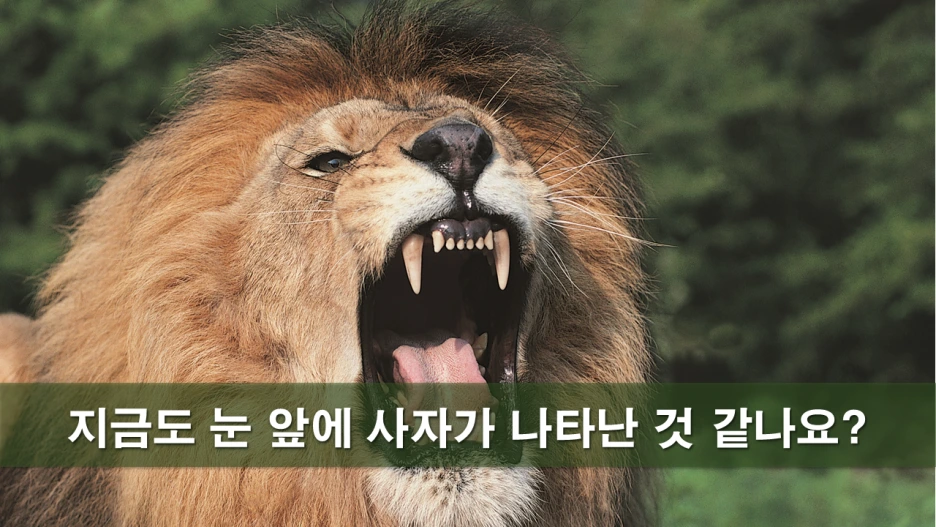 %EC%8A%AC%EB%9D%BC%EC%9D%B4%EB%93%9C12.PNG?type=w1