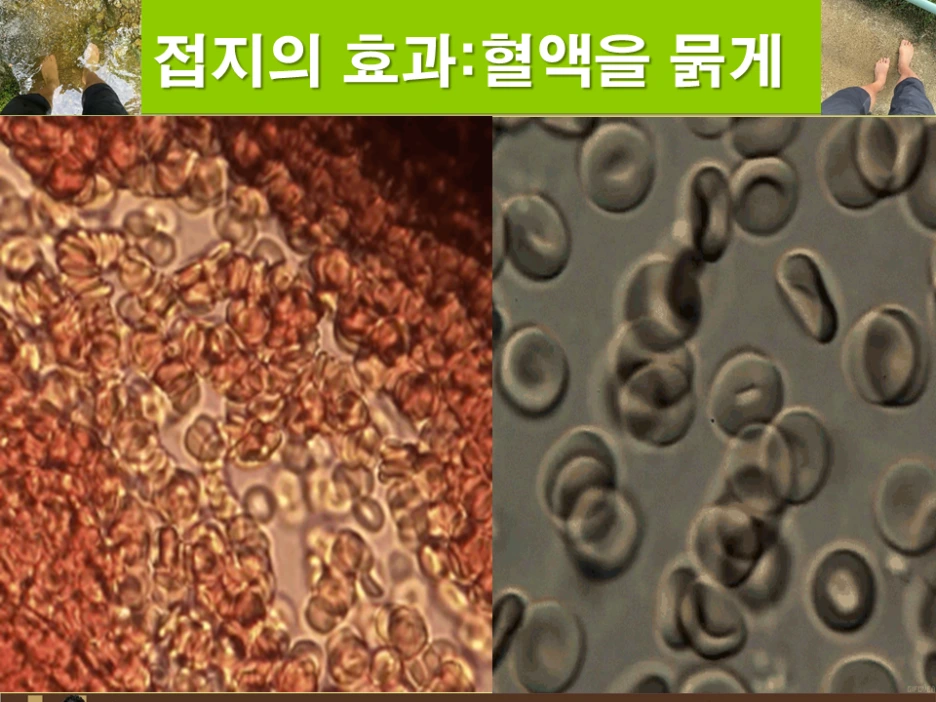 %EC%8A%AC%EB%9D%BC%EC%9D%B4%EB%93%9C13.PNG?type=w1