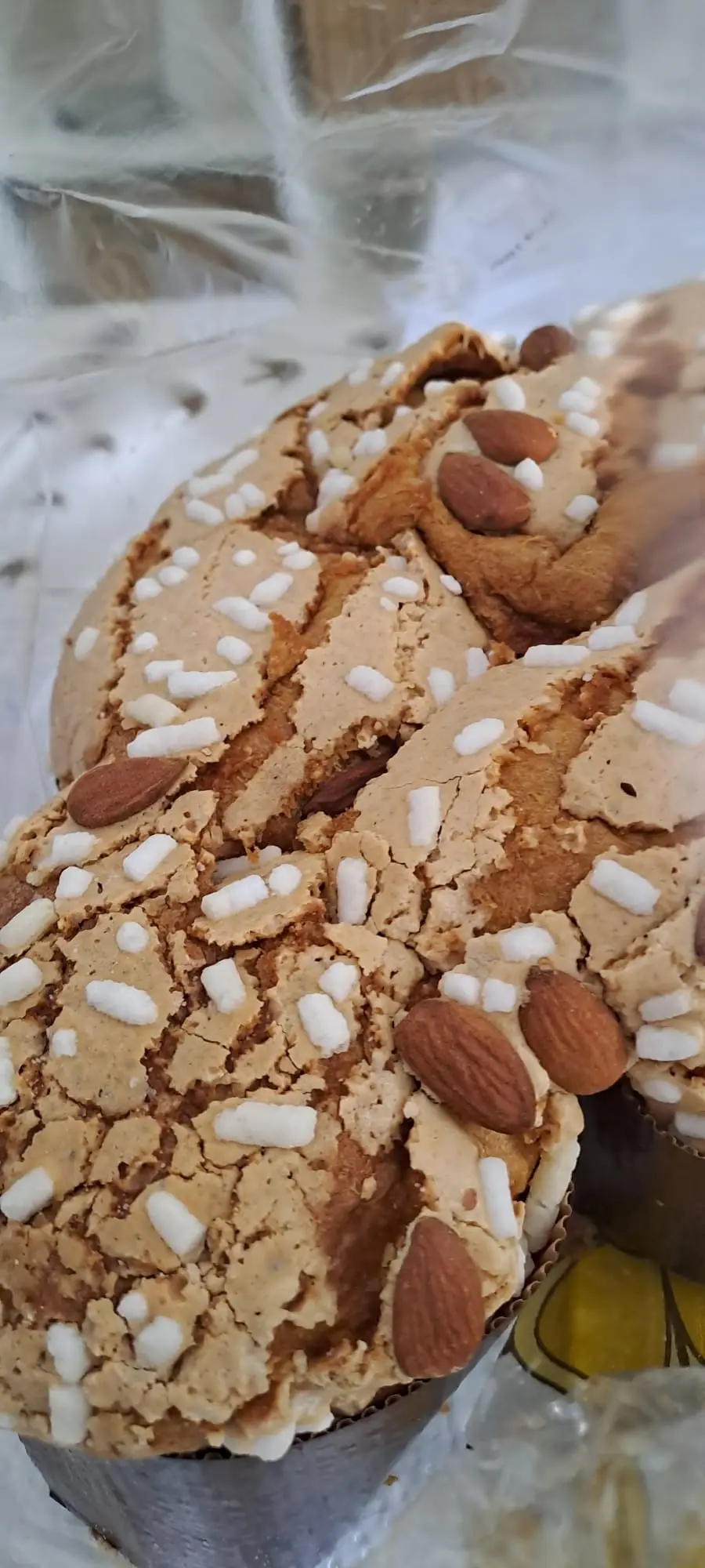 WhatsApp Image 2024-03-31 at 10.11.28 PM (2).jpeg