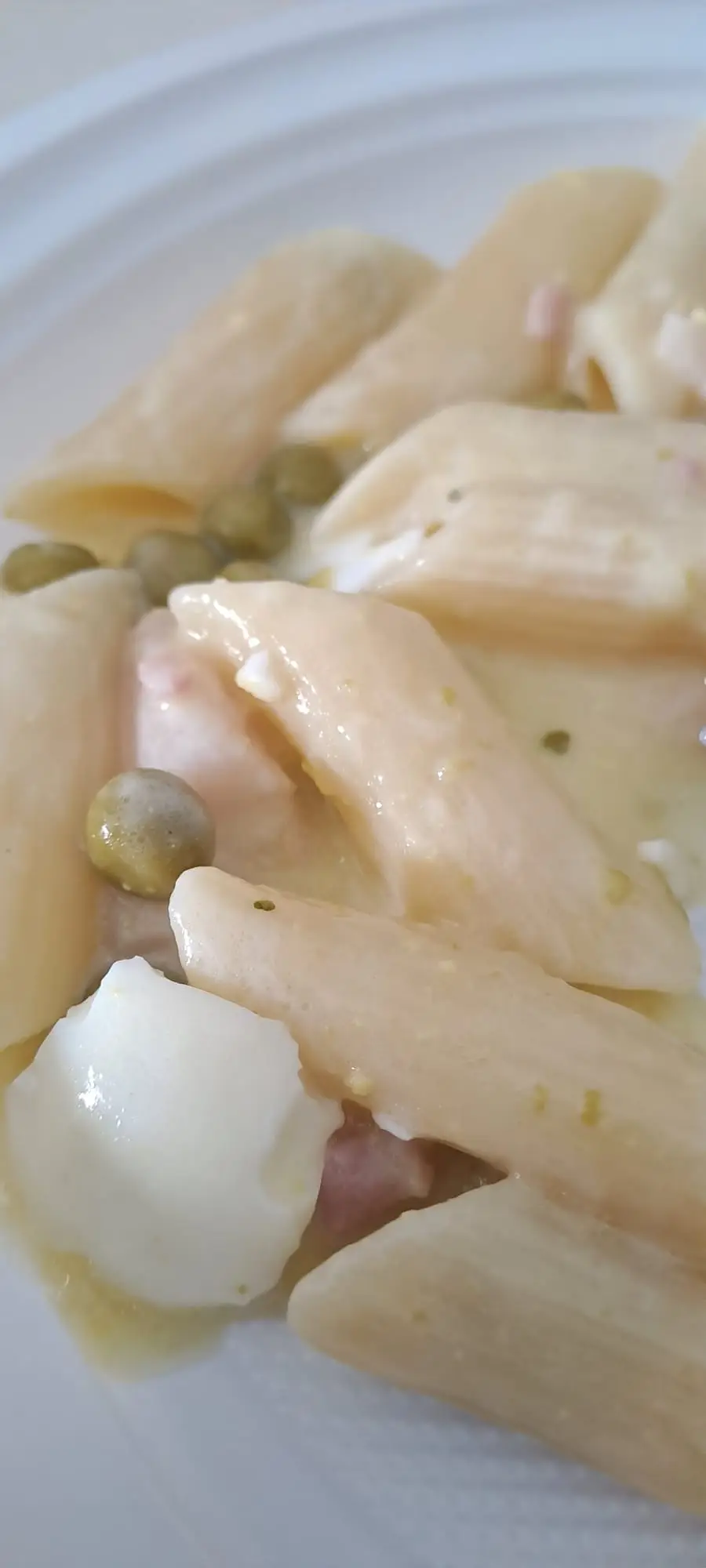 WhatsApp Image 2024-03-31 at 10.11.29 PM (2).jpeg