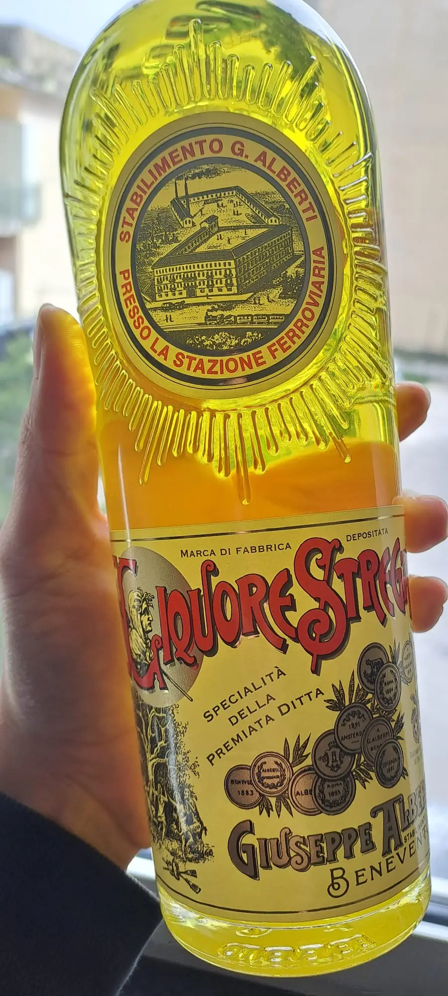 WhatsApp Image 2024-03-31 at 10.11.29 PM.jpeg