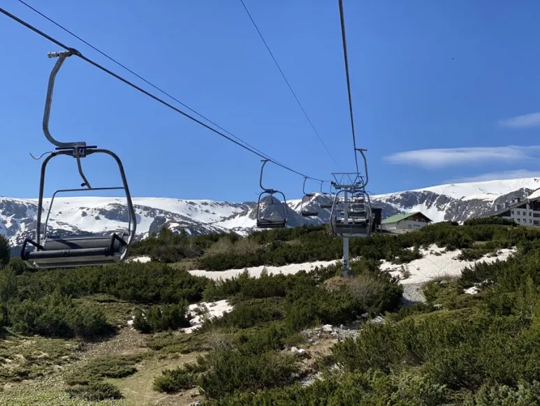 IMG_5978.JPG?type=w773