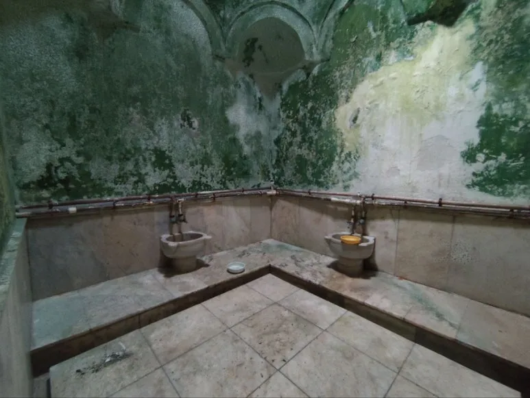 IMG_5453.JPG?type=w773