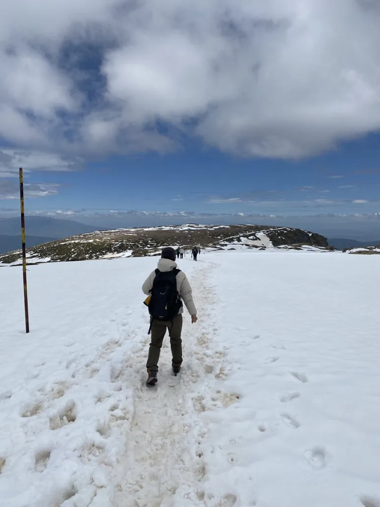 IMG_6046.JPG?type=w773