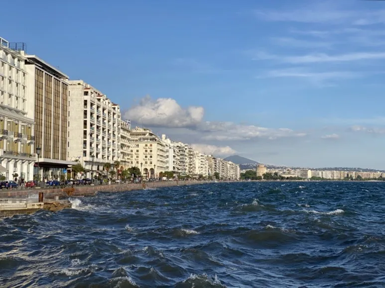 IMG_6240.JPG?type=w773