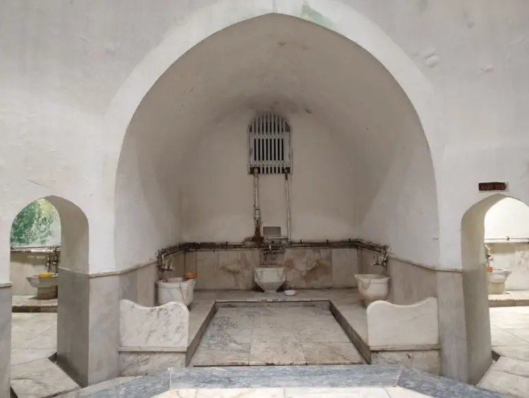 IMG_5454.JPG?type=w773