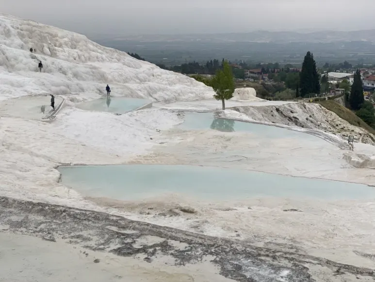 IMG_5277.JPG?type=w773