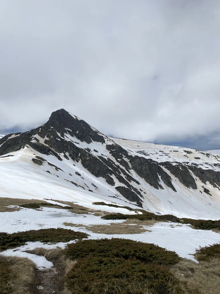 IMG_6037.JPG?type=w773