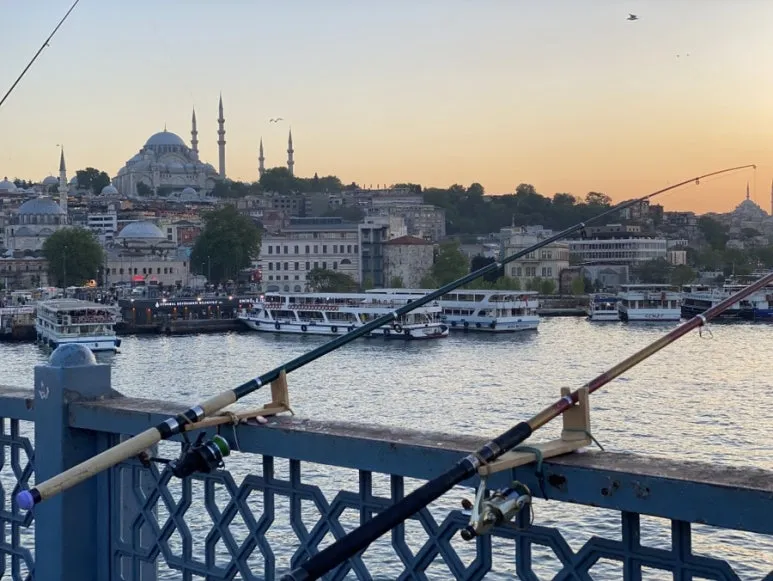 IMG_5794.jpg?type=w773