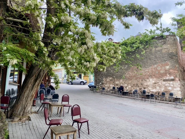 IMG_5448.JPG?type=w773