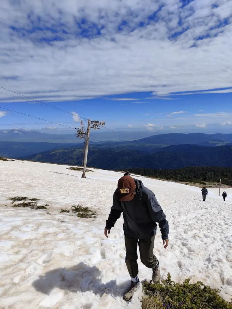 IMG_0102.JPG?type=w773