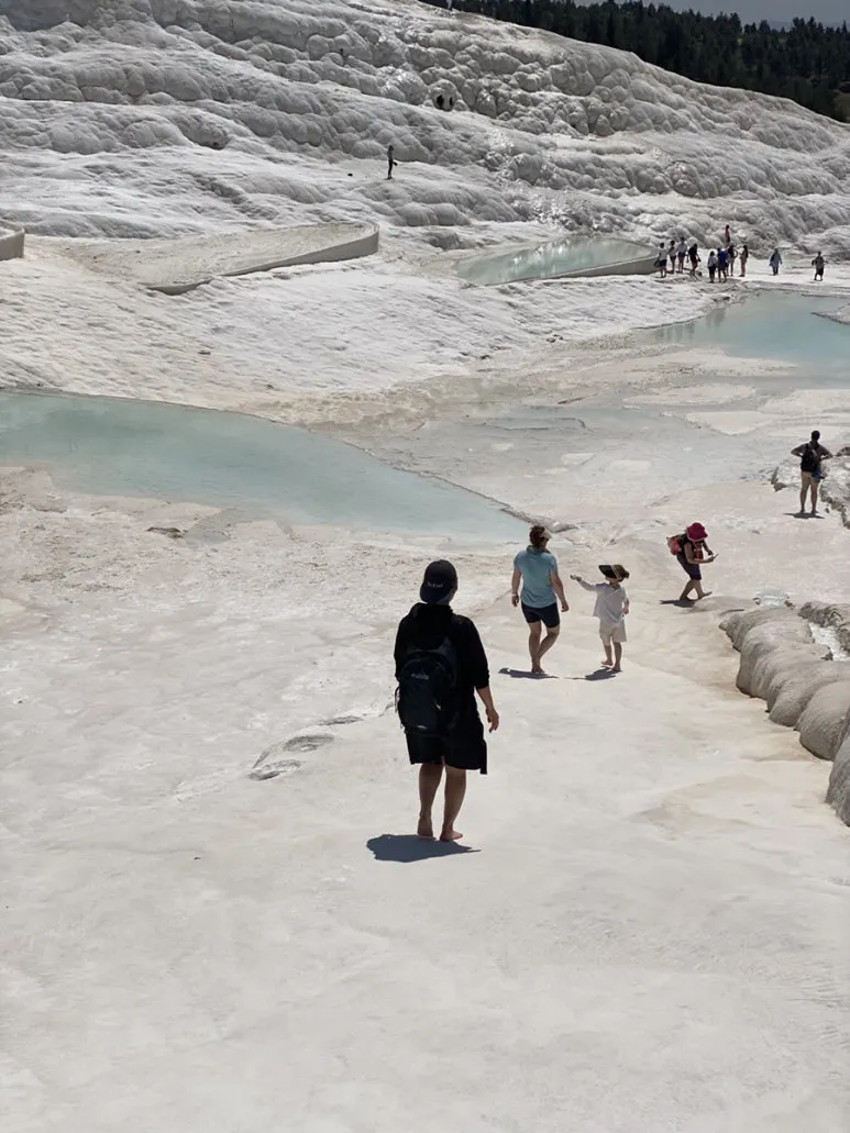 IMG_5398.JPG?type=w773