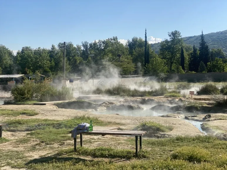 IMG_6166.JPG?type=w773