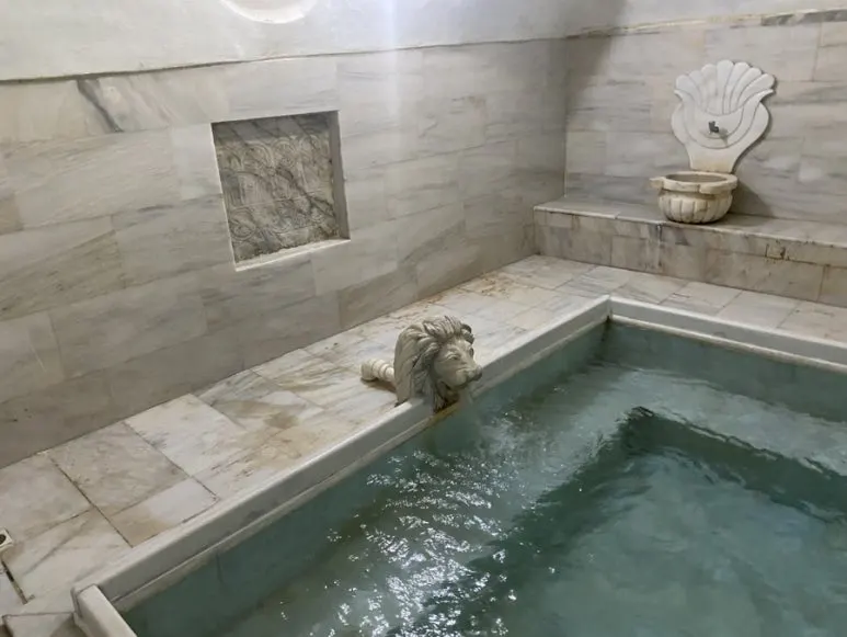 IMG_5461.JPG?type=w773