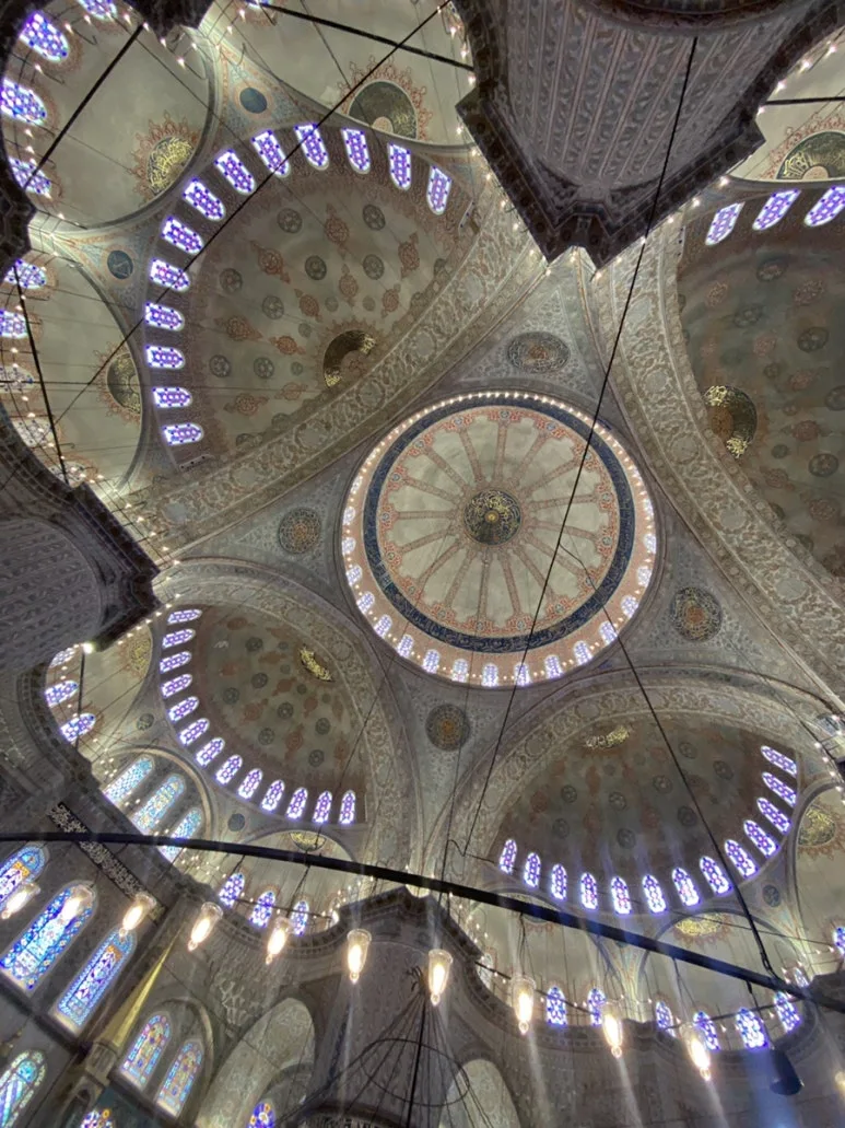 IMG_5532.JPG?type=w773