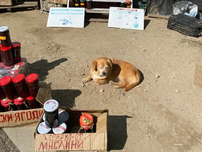 output_3444923562.jpg?type=w773