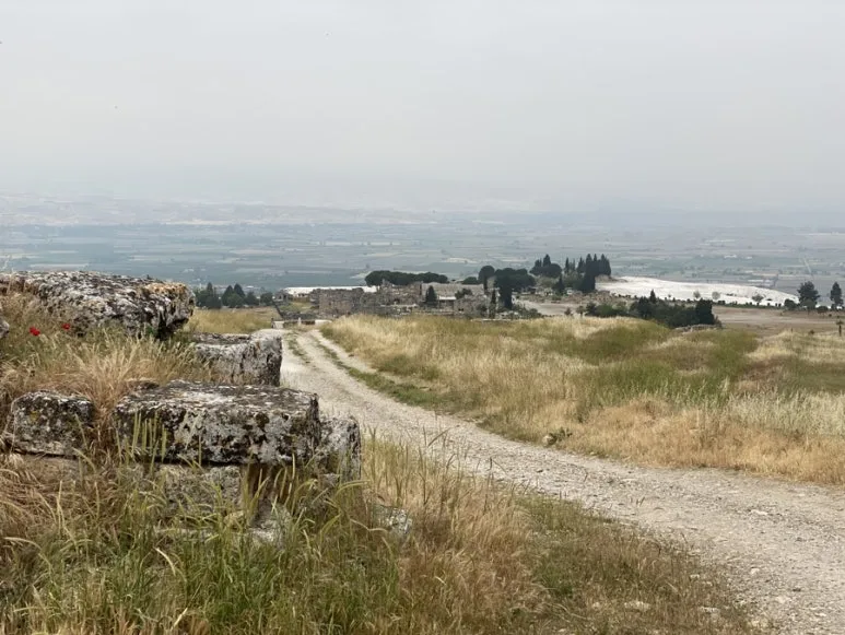 IMG_5324.JPG?type=w773