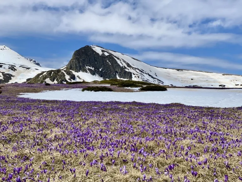 IMG_6027.JPG?type=w773