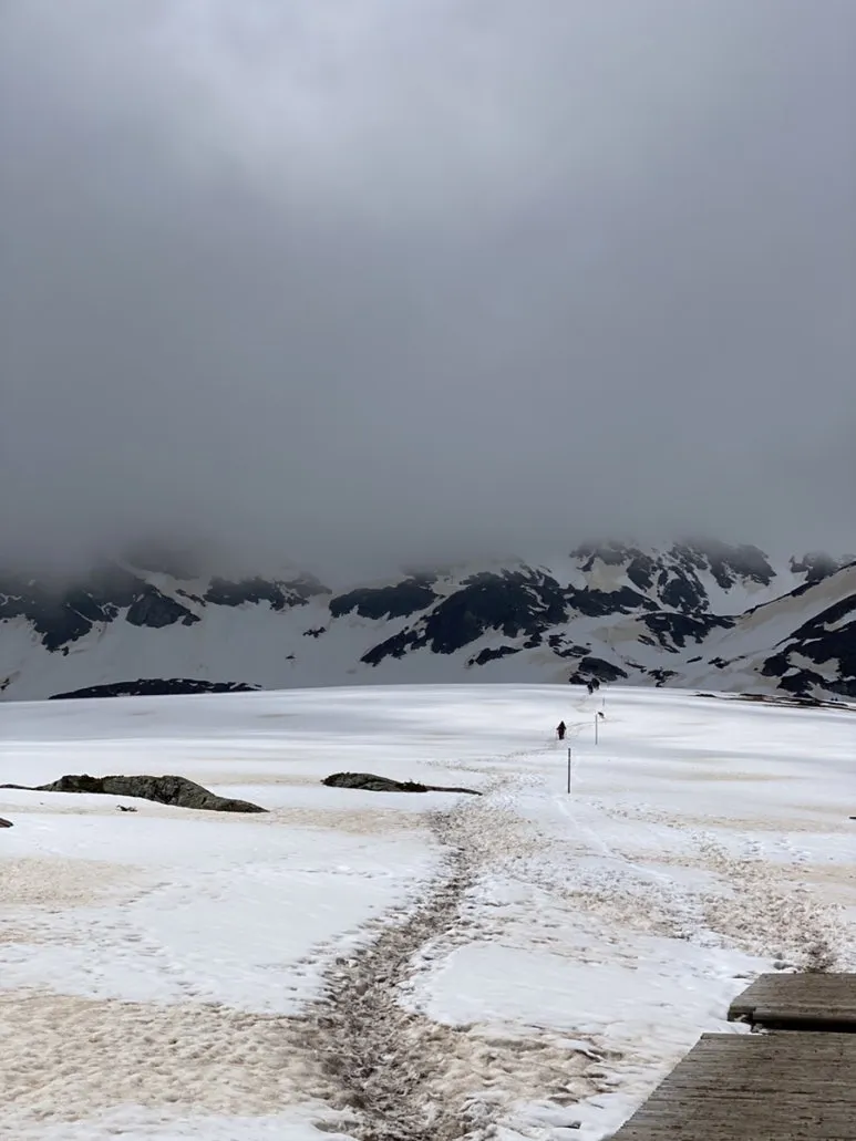 IMG_6035.JPG?type=w773