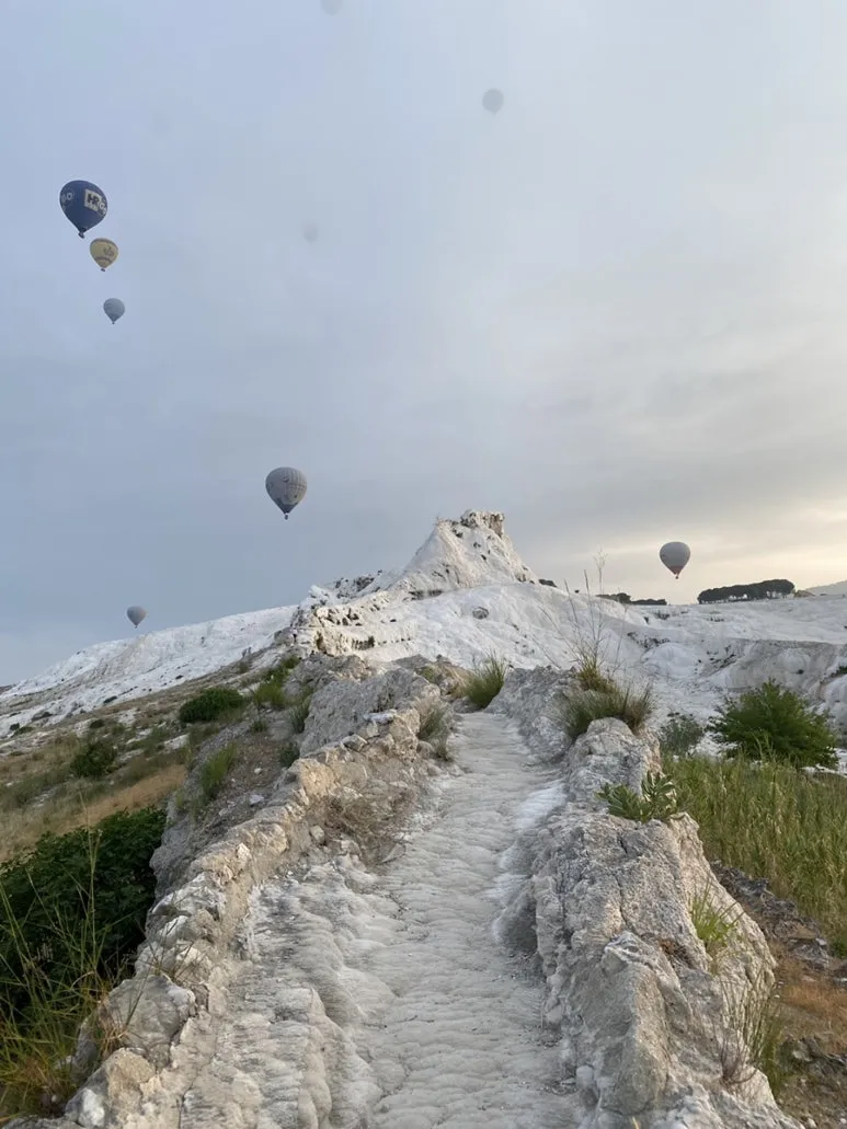 IMG_5253.JPG?type=w773