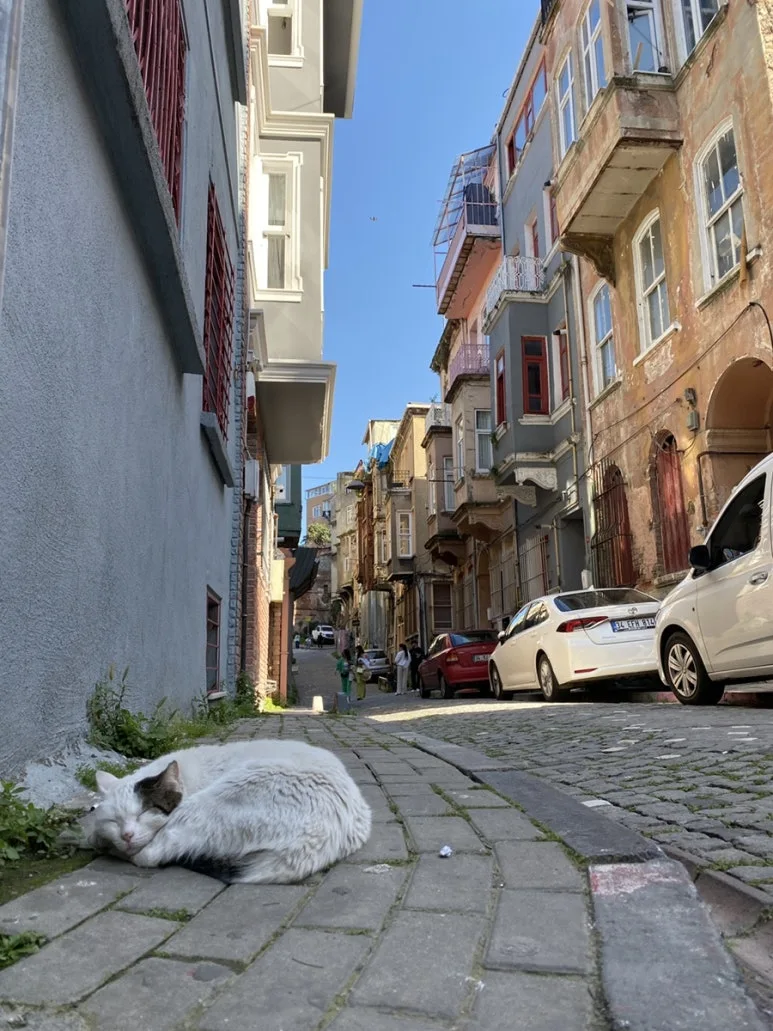 IMG_5718.JPG?type=w773