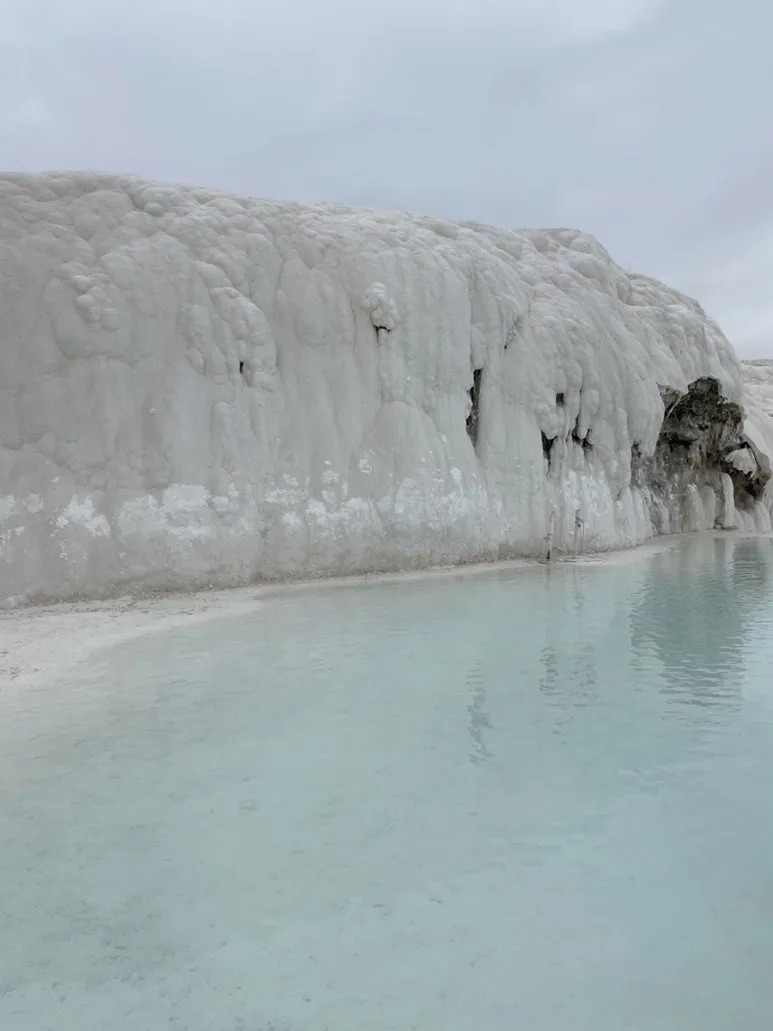 IMG_5285.JPG?type=w773