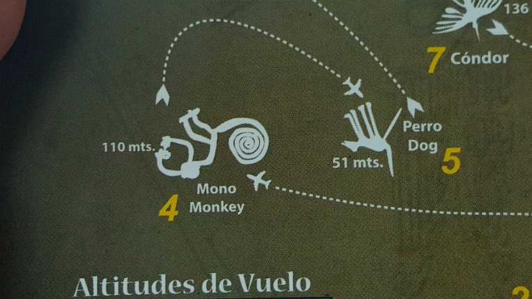 996C4E435B167FD12B81FC